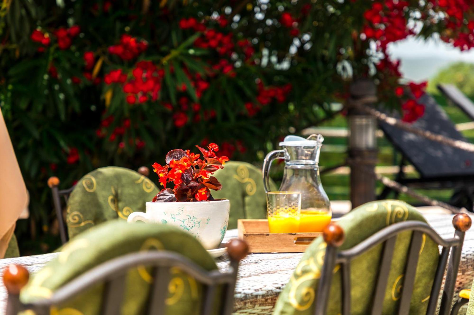 Villa Marco Polo Budva Exterior foto